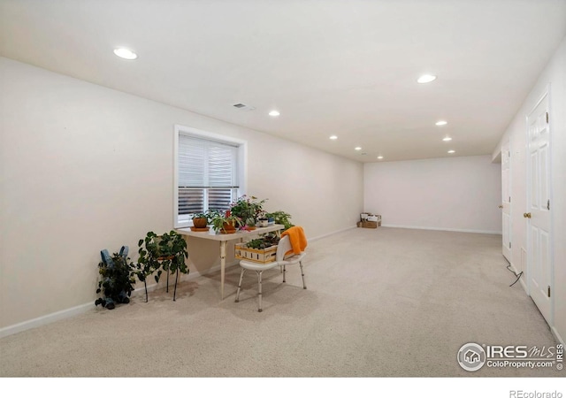 543 Dana Ct, Loveland, CO 80537 - photo 31