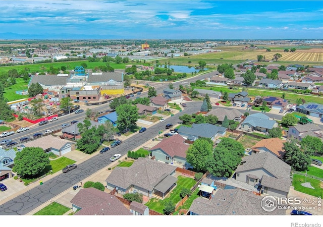 1114 Eagle Dr, Brighton, CO 80601 - photo 29