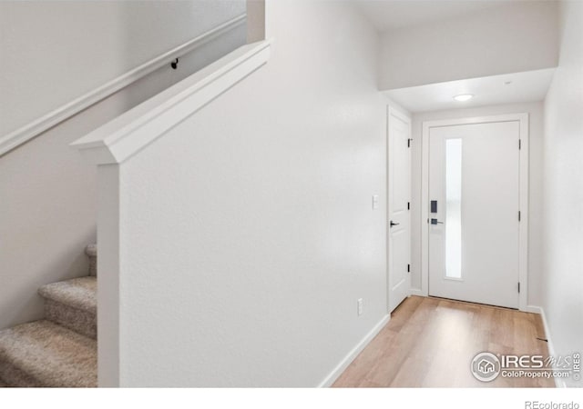 1788 Iron Wheel Dr Unit 5, Windsor, CO 80550 - photo 23