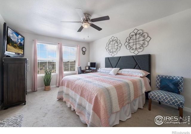 8603 15th St, Greeley, CO 80634 - photo 21