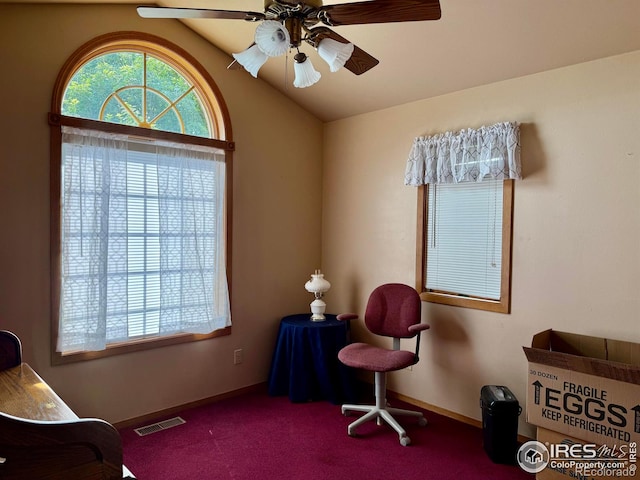 1142 S Interocean Ave, Holyoke, CO 80734 - photo 15