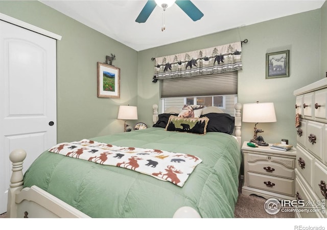 1008 Muntjac St, Severance, CO 80550 - photo 25