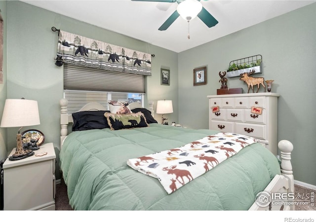1008 Muntjac St, Severance, CO 80550 - photo 26