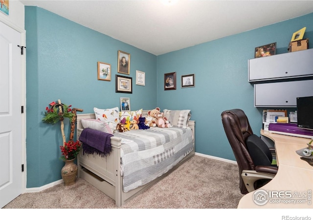 1008 Muntjac St, Severance, CO 80550 - photo 28