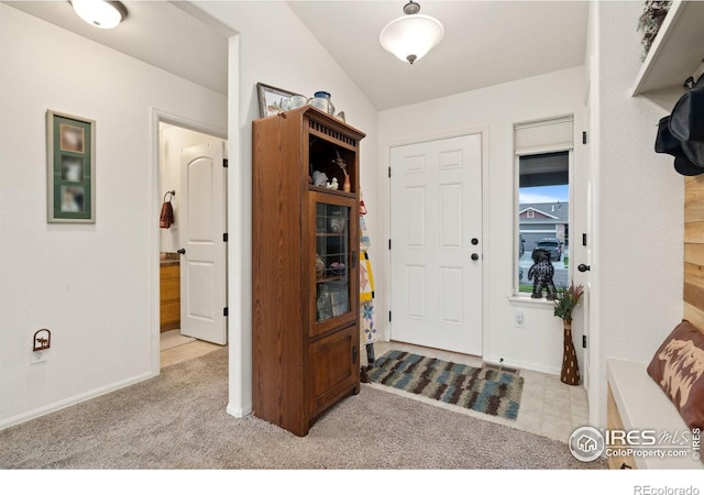 1008 Muntjac St, Severance, CO 80550 - photo 6