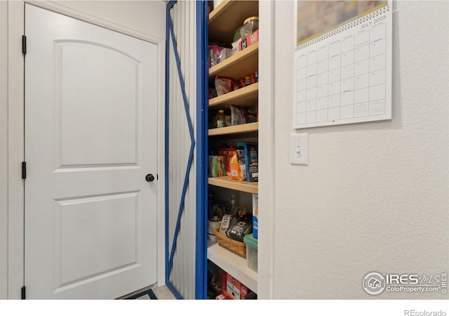 1008 Muntjac St, Severance, CO 80550 - photo 13