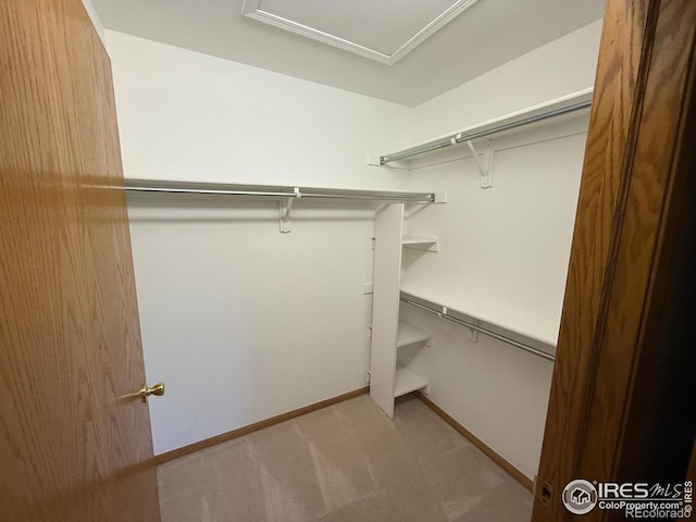 1032 Cunningham Dr Unit 4, Fort Collins, CO 80526 - photo 21