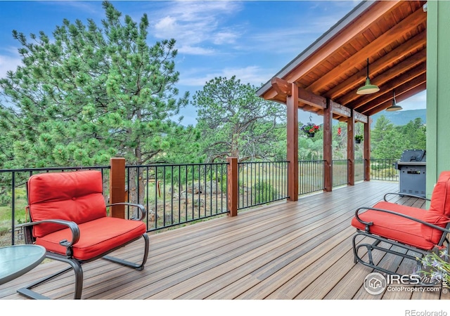 410 Pawnee Ln, Estes Park, CO 80517 - photo 6