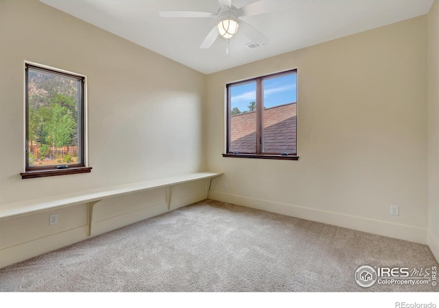 410 Pawnee Ln, Estes Park, CO 80517 - photo 39