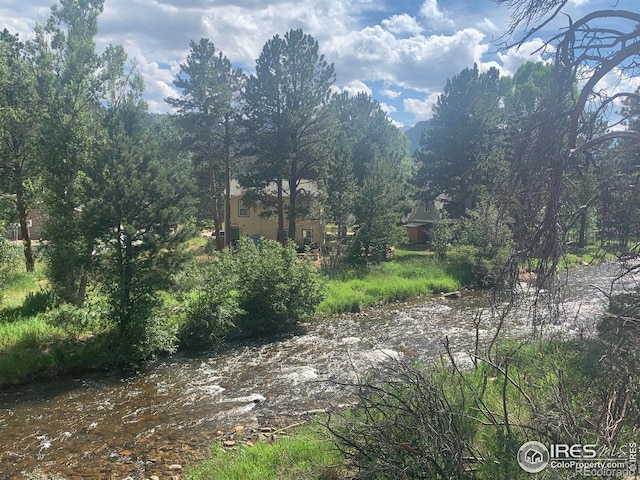 465 Pine River Ln, Estes Park, CO 80517 - photo 2