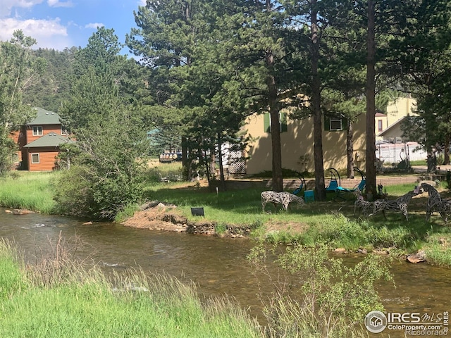 465 Pine River Ln, Estes Park, CO 80517 - photo 9