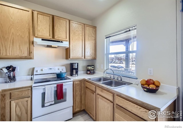 820 Kimbark St Unit B, Longmont, CO 80501 - photo 7