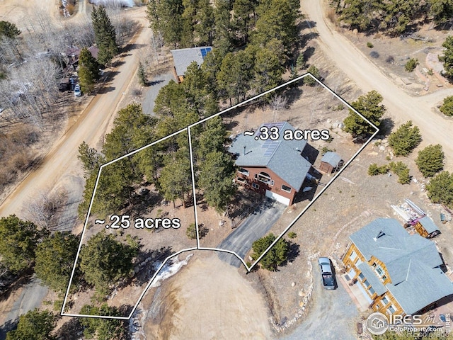 317 W 5th St, Nederland, CO 80466 - photo 5