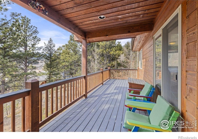317 W 5th St, Nederland, CO 80466 - photo 6
