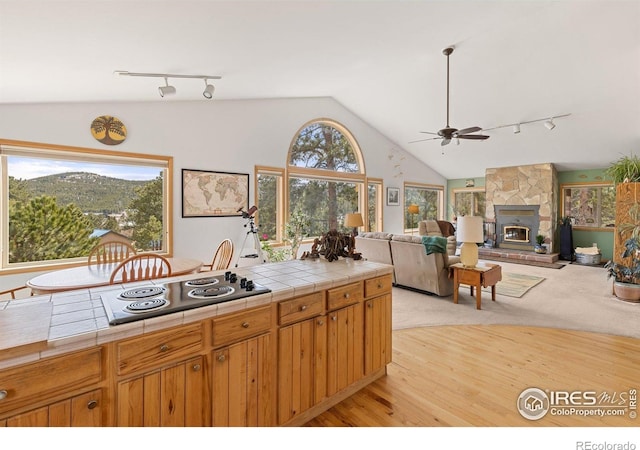 317 W 5th St, Nederland, CO 80466 - photo 8