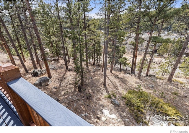 317 W 5th St, Nederland, CO 80466 - photo 32