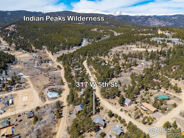 317 W 5th St, Nederland, CO 80466 - photo 38