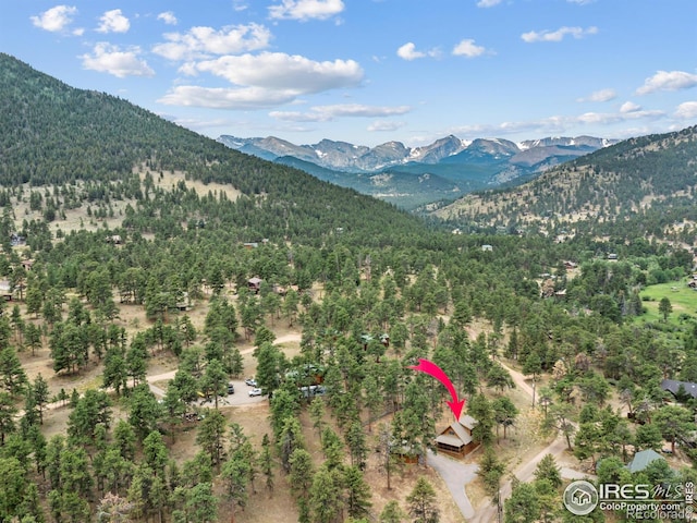 1280 Broadview Rd, Estes Park, CO 80517 - photo 29