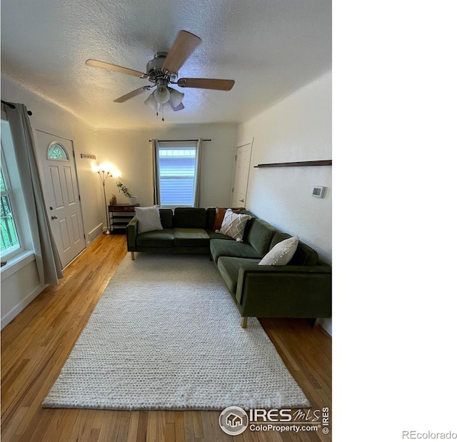 527 Martin St, Longmont, CO 80501 - photo 2