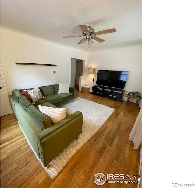 527 Martin St, Longmont, CO 80501 - photo 3