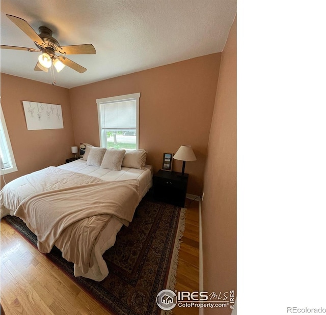 527 Martin St, Longmont, CO 80501 - photo 4