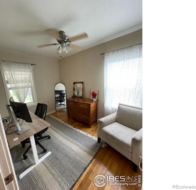 527 Martin St, Longmont, CO 80501 - photo 5
