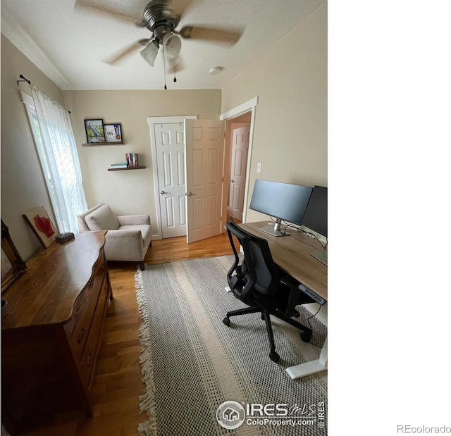 527 Martin St, Longmont, CO 80501 - photo 6
