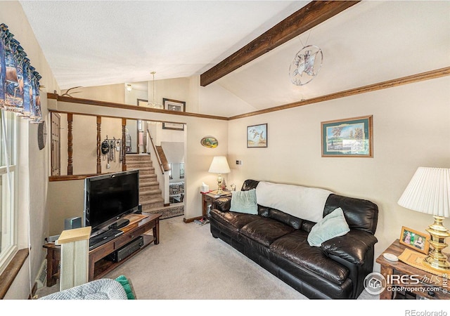 3334 34th St, Greeley, CO 80634 - photo 6