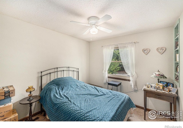 3334 34th St, Greeley, CO 80634 - photo 8