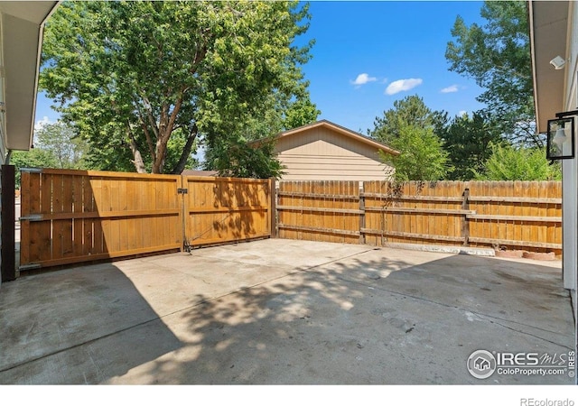 4 Spruce Ct, Windsor, CO 80550 - photo 35