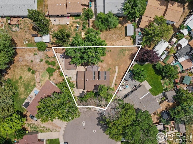 4 Spruce Ct, Windsor, CO 80550 - photo 37