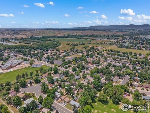 4 Spruce Ct, Windsor, CO 80550 - photo 39