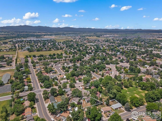 4 Spruce Ct, Windsor, CO 80550 - photo 40