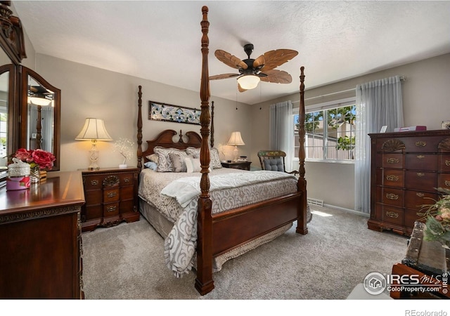 236 48th Avenue Ct, Greeley, CO 80634 - photo 10