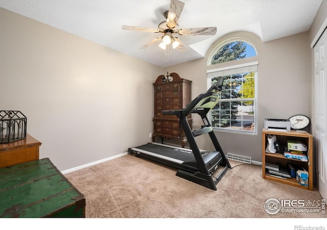 236 48th Avenue Ct, Greeley, CO 80634 - photo 14