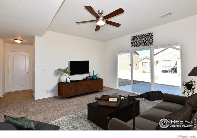 8508 8th St, Greeley, CO 80634 - photo 6