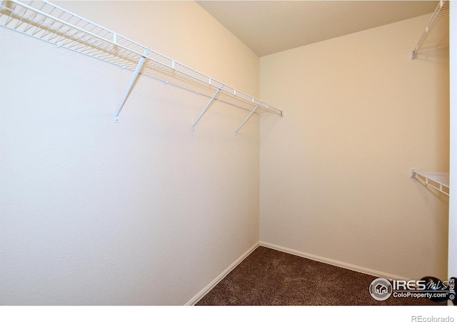 8508 8th St, Greeley, CO 80634 - photo 32