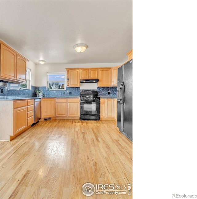 1730 Crestone Dr, Longmont, CO 80504 - photo 19