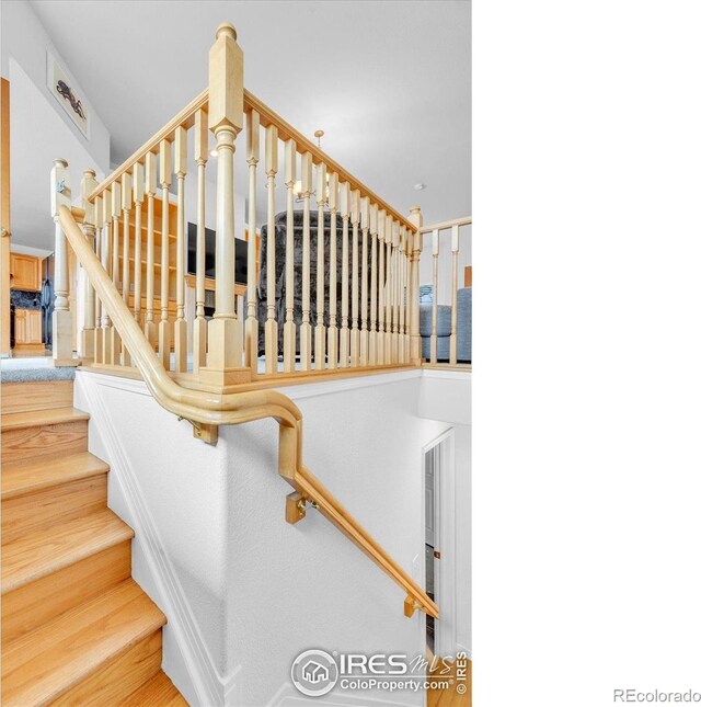 1730 Crestone Dr, Longmont, CO 80504 - photo 31