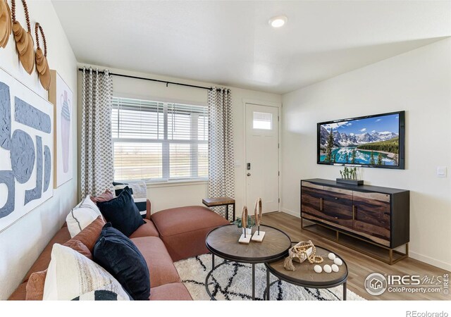 4661 Combine Ln, Johnstown, CO 80534 - photo 5