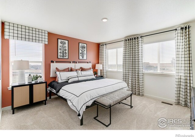4661 Combine Ln, Johnstown, CO 80534 - photo 21