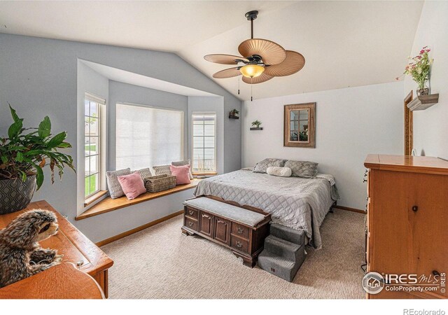 2055 Fox Meadow Ln, Johnstown, CO 80534 - photo 10