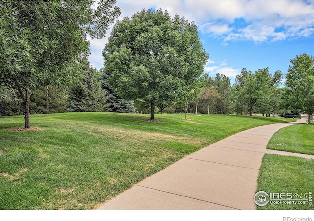 4716 Castle Cir, Broomfield, CO 80023 - photo 37