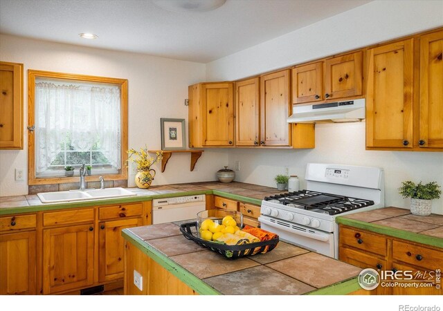 316 Umatilla Dr, Black Hawk, CO 80422 - photo 5