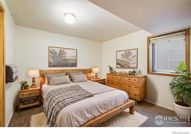 316 Umatilla Dr, Black Hawk, CO 80422 - photo 16