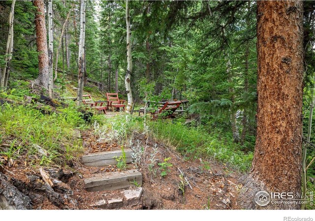316 Umatilla Dr, Black Hawk, CO 80422 - photo 35