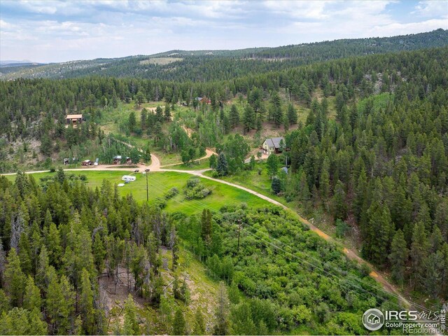 316 Umatilla Dr, Black Hawk, CO 80422 - photo 38