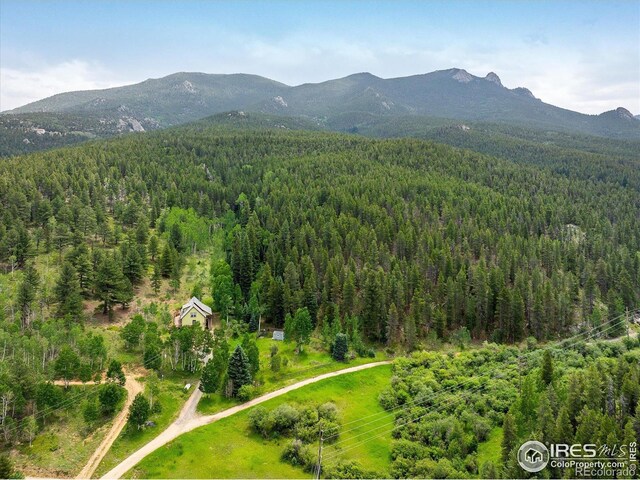 316 Umatilla Dr, Black Hawk, CO 80422 - photo 39