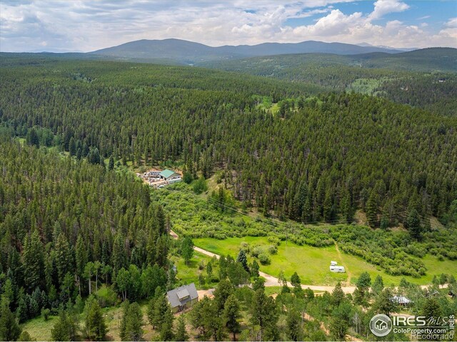 316 Umatilla Dr, Black Hawk, CO 80422 - photo 40