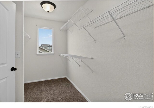 740 Elk Mountain Dr, Severance, CO 80550 - photo 10